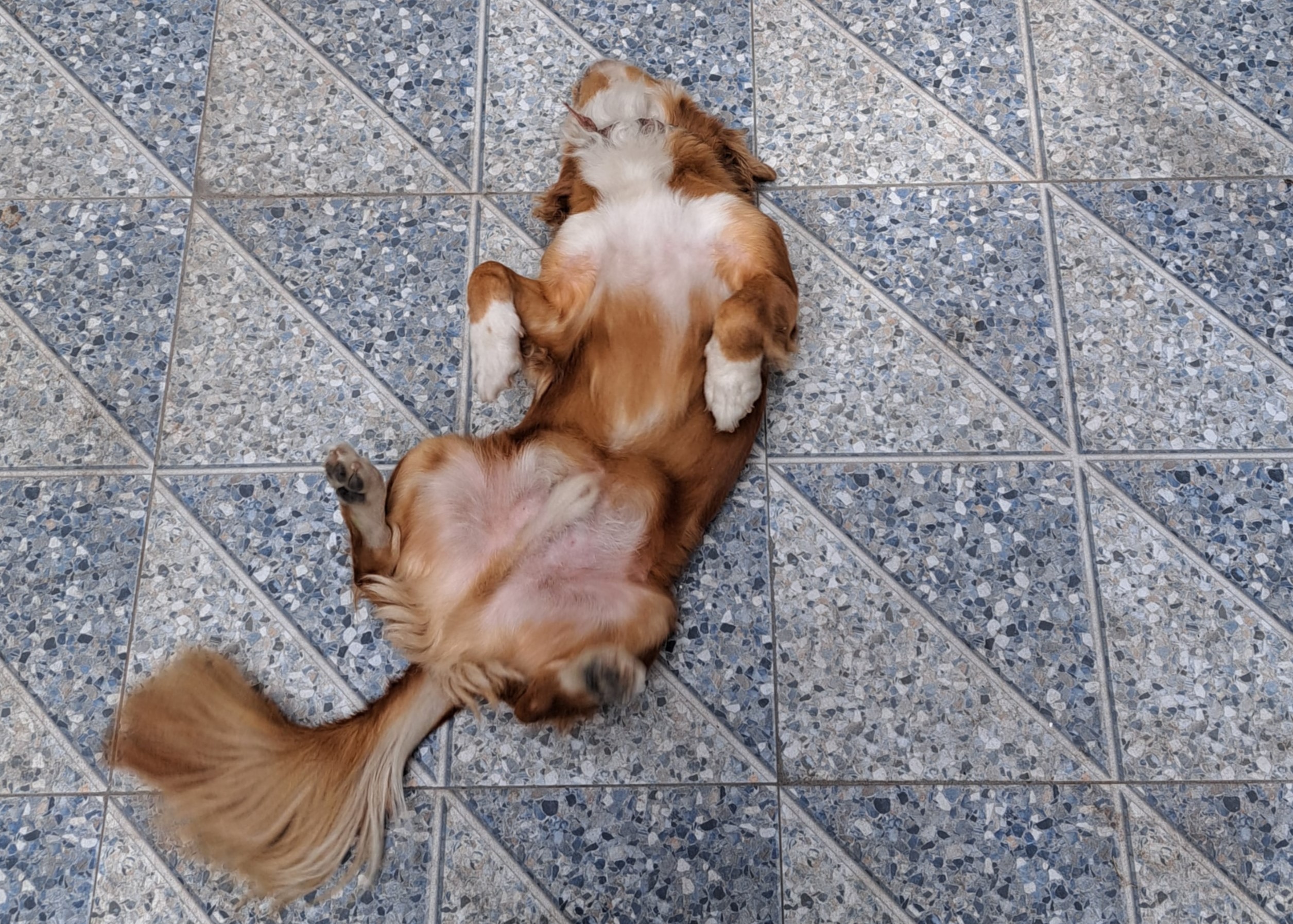 0d210bcb-b382-4569-a1bb-794b0a73fd6a 0d210bcb-b382-4569-a1bb-794b0a73fd6a