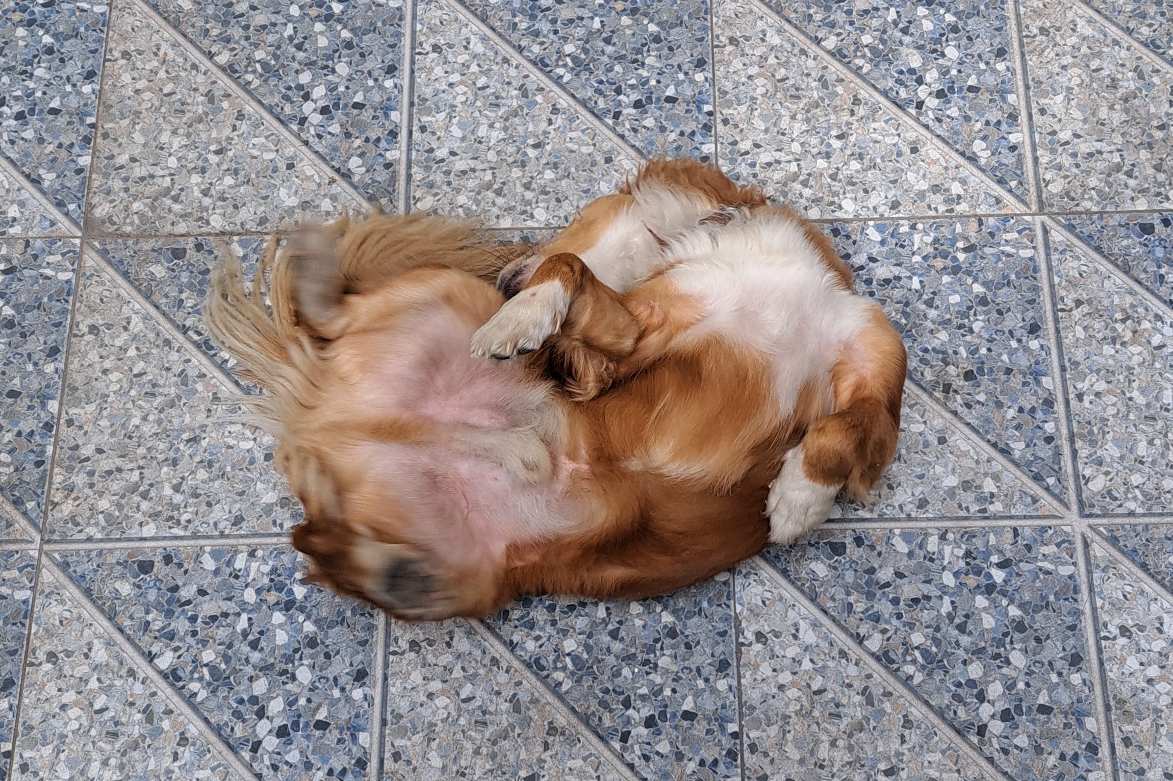 20241026_110217 20241026_110217