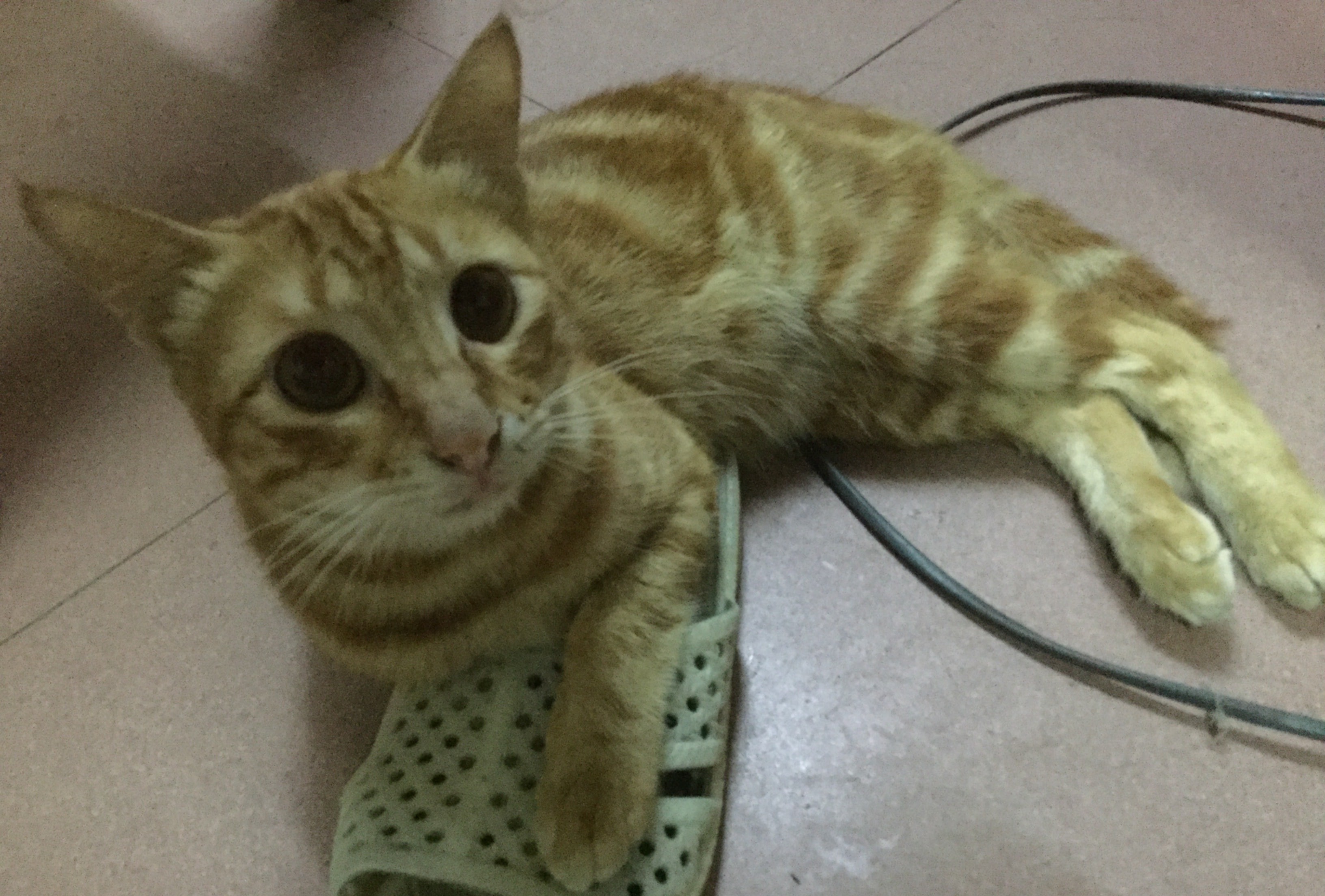 ba138224-7d6d-4fcf-b51b-3a3bb758b376