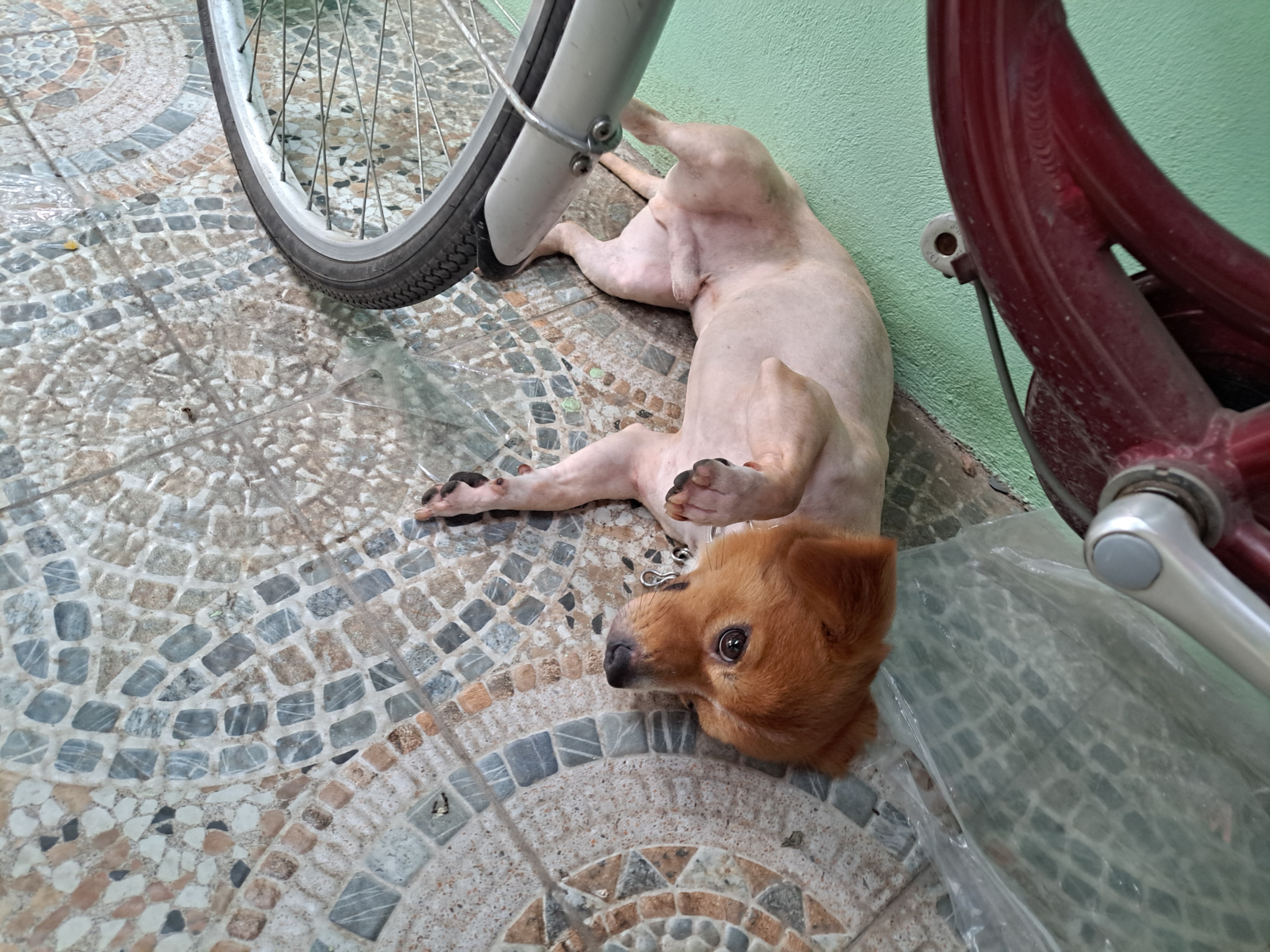 e1b326b0-8d92-4e5b-8beb-f81fae8aca78