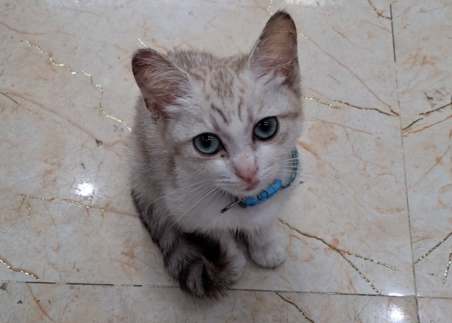 efbb625a-e879-4a08-883a-ca2830896bbb